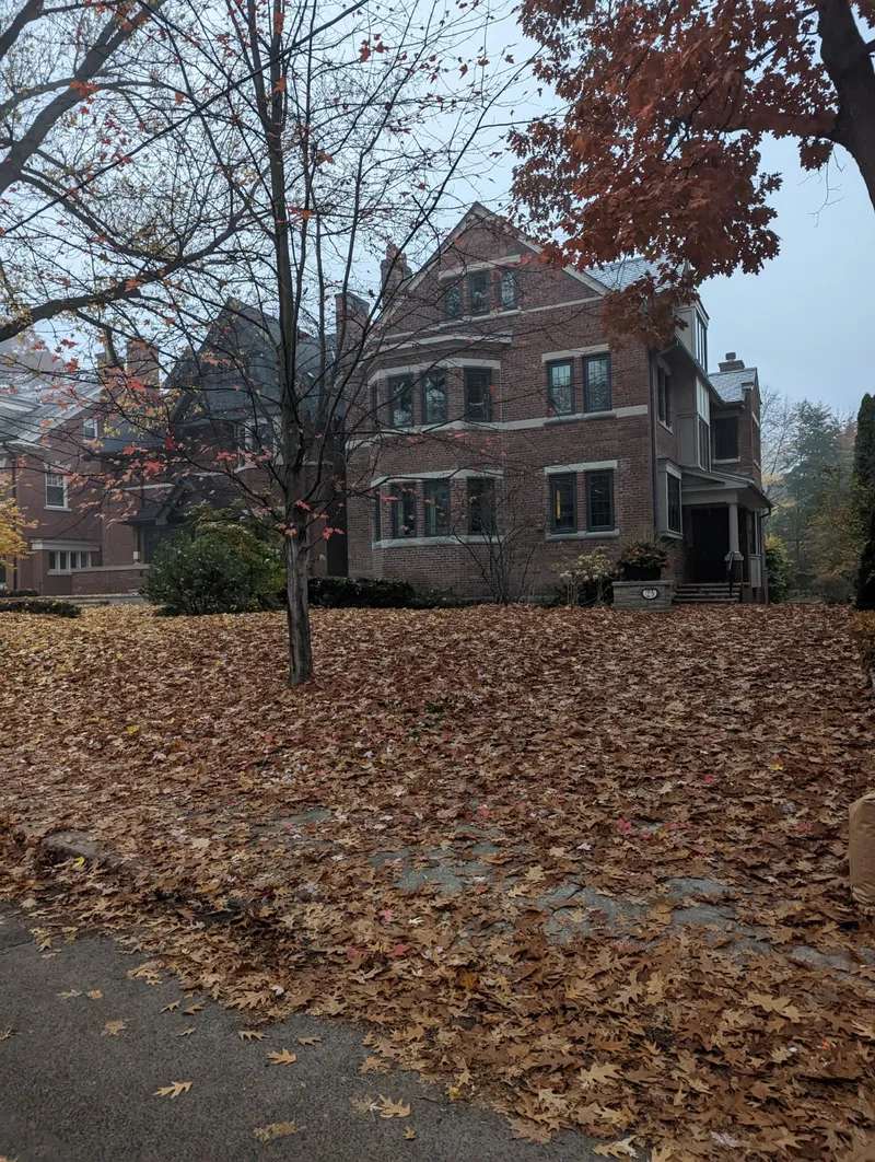 Fallen leaves covering the front lawn and driveway before cleanup