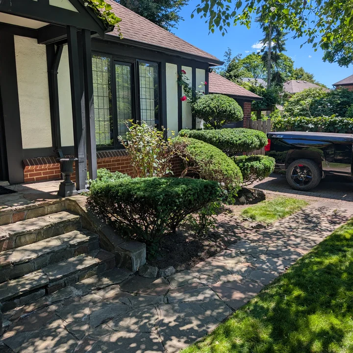 Shaped front-garden shrubs and tidy planting beds after Clover's maintenance visit