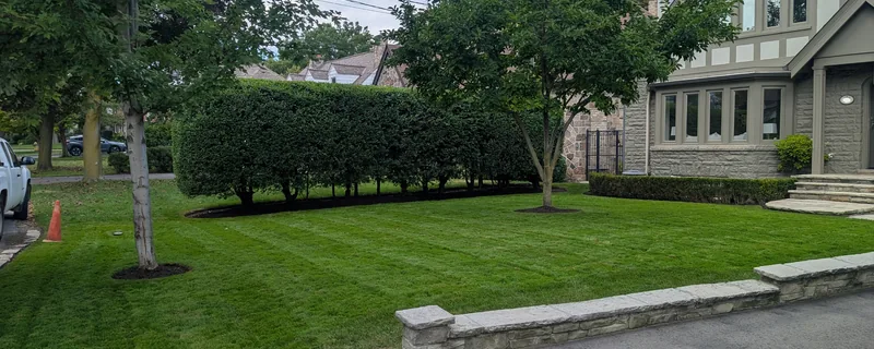 A Clover-maintained front lawn and shaped hedges at a residential home in Etobicoke