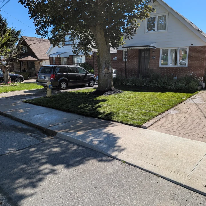 New front lawn after cleanup and sod installation