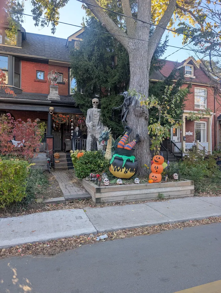 Halloween skeletons, pumpkins and a cauldron display in a front garden beneath a large tree