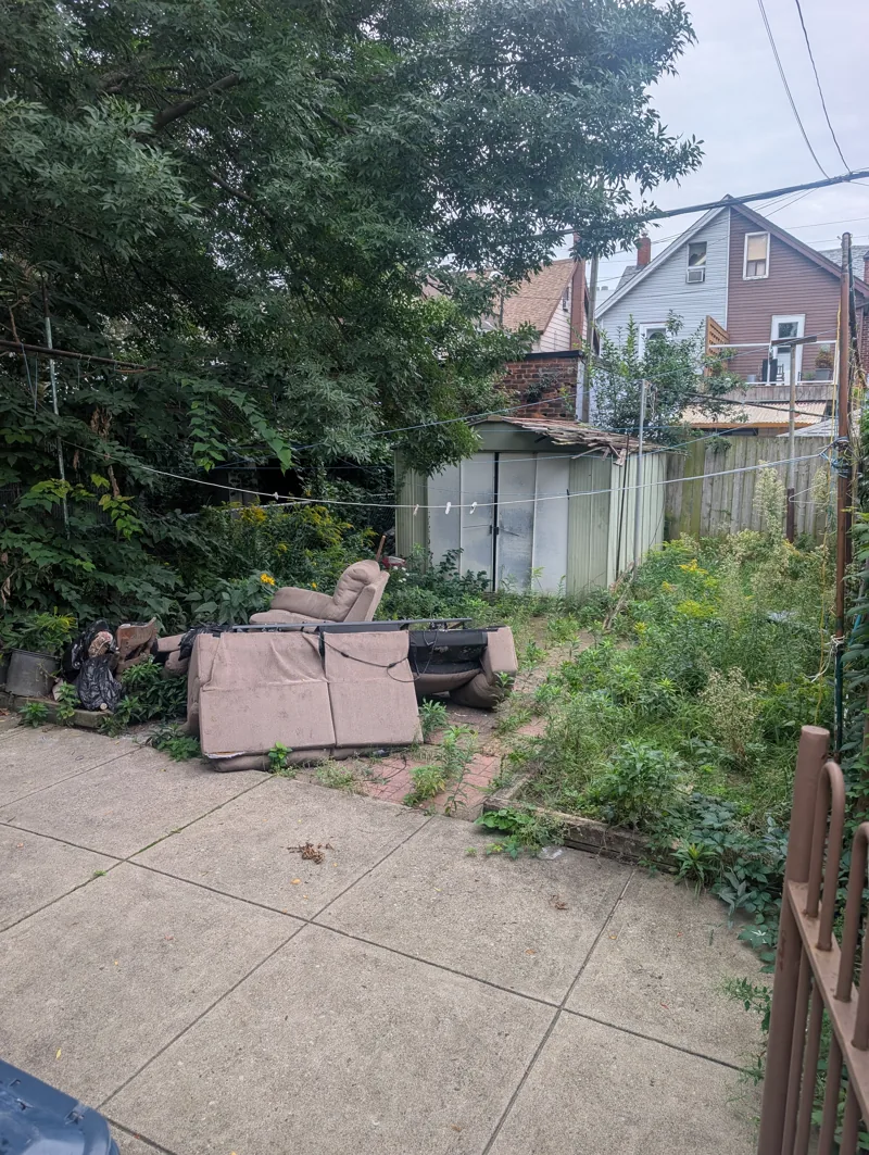 Overgrown backyard before cleanup near Junction Triangle