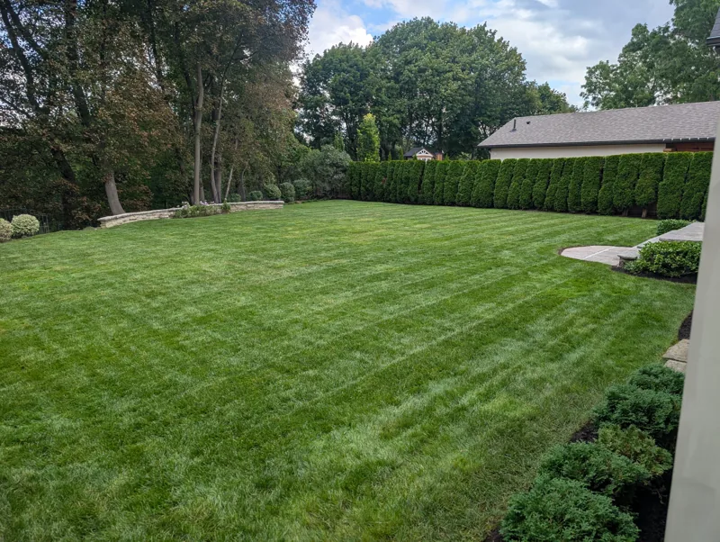 Freshly mowed backyard lawn at a Clover property near Islington