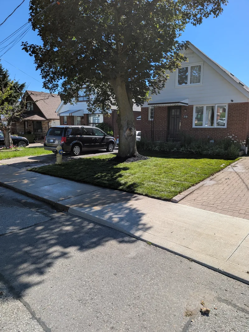 New sod installed on a front lawn in Rockcliffe-Smythe, Toronto