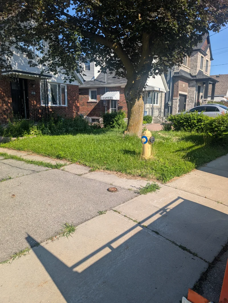 Existing front lawn before removal and new sod installation