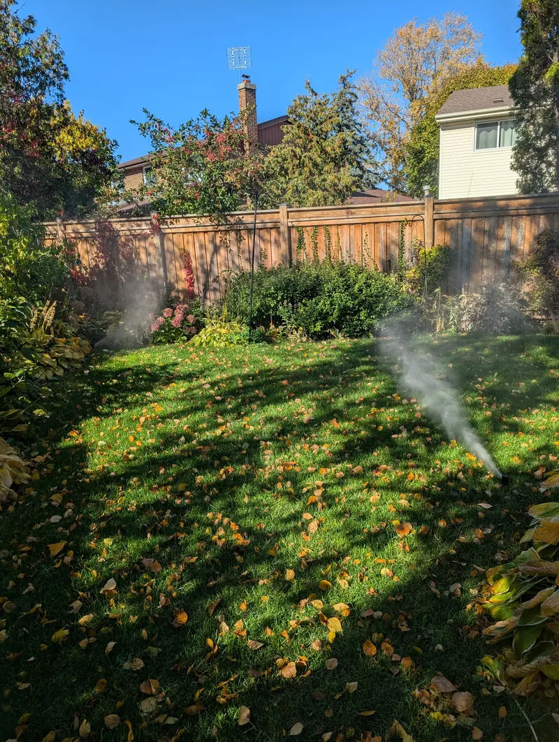Sprinkler heads releasing spray during a residential sprinkler blowout